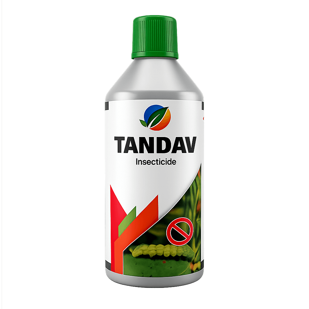 TANDAV